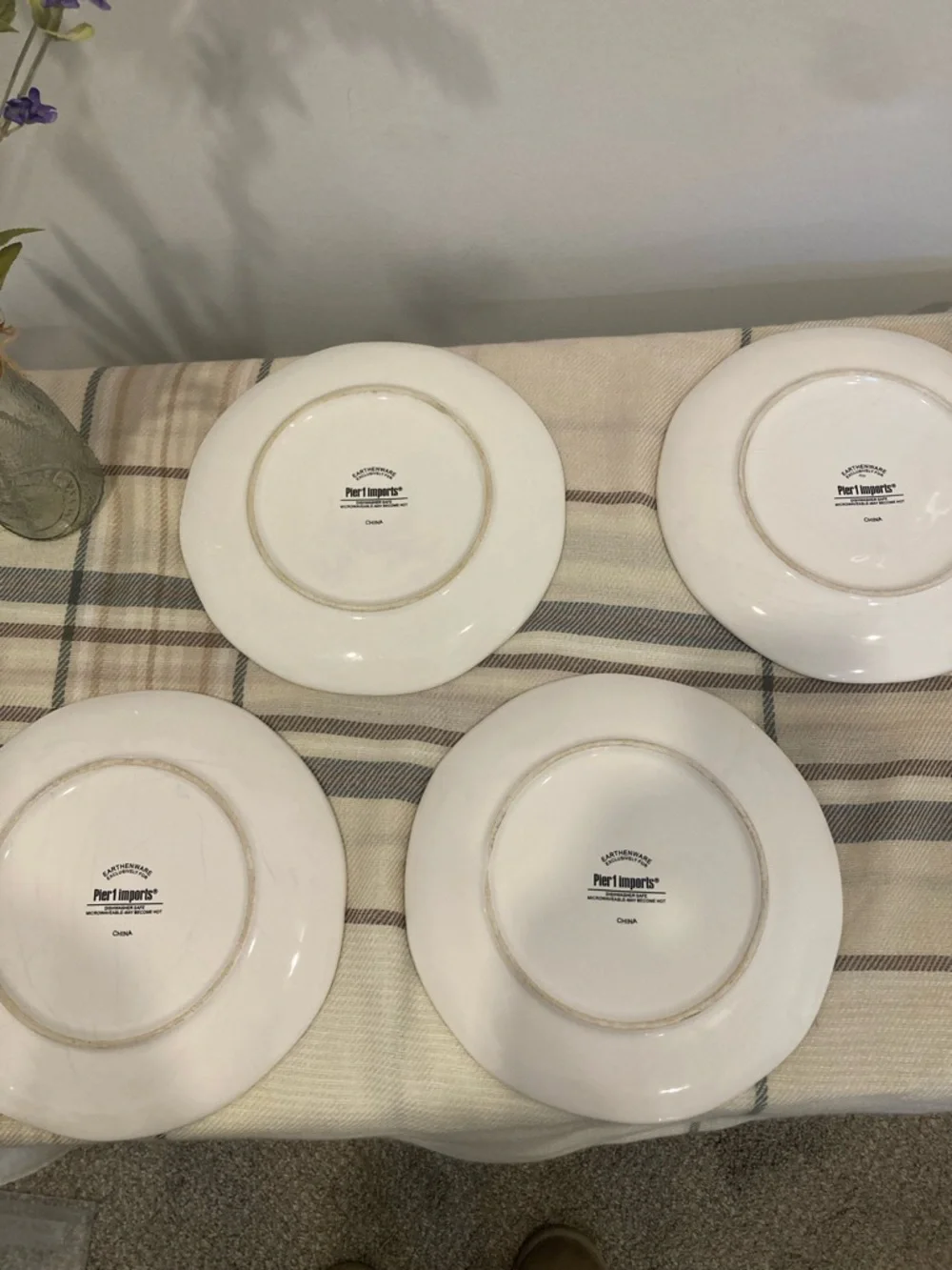 Pier 1 Sandpiper Dinner Plate in Blue and Brown